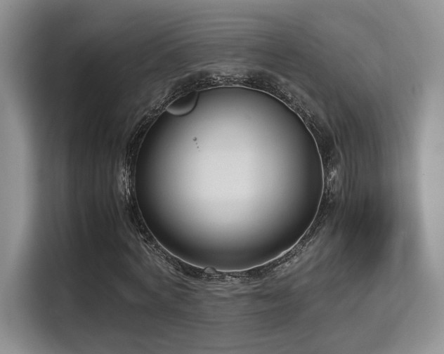 X0000115340772200911091304