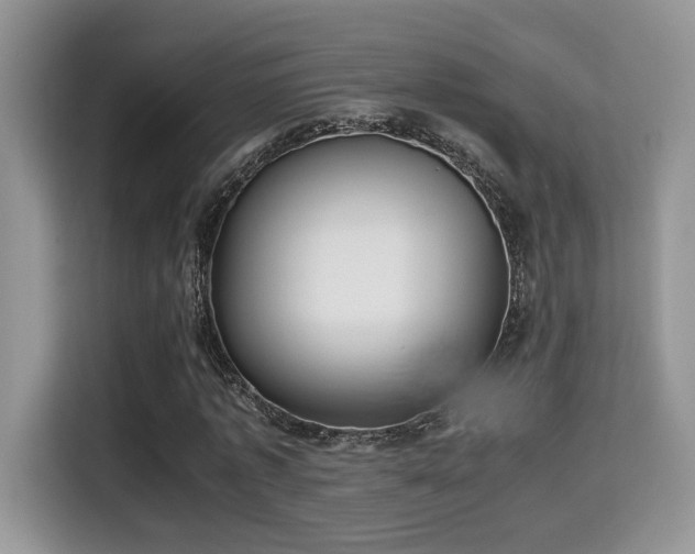 X0000115340773200911091304