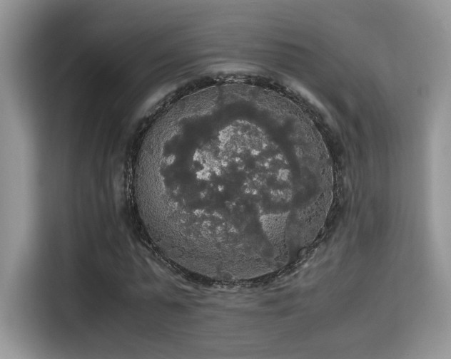 X0000115340775200911091304