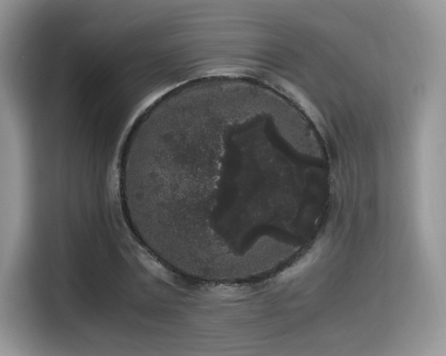X0000115340779200911091304