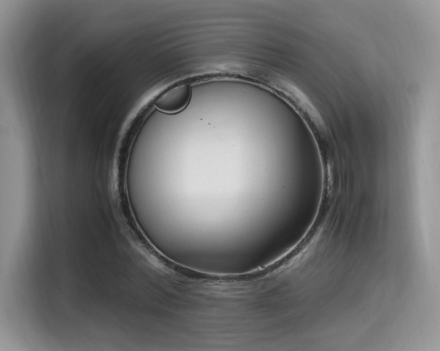 X0000115340780200911091304