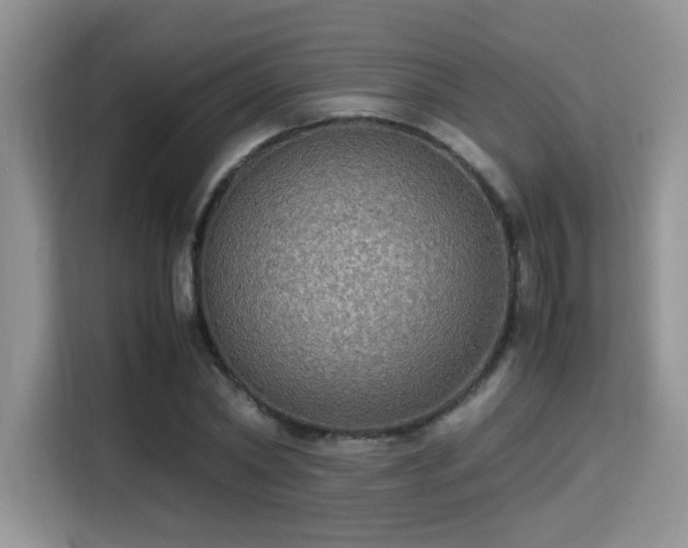 X0000115340782200911091304