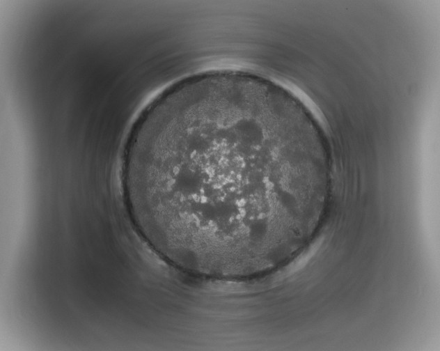 X0000115340783200911091304