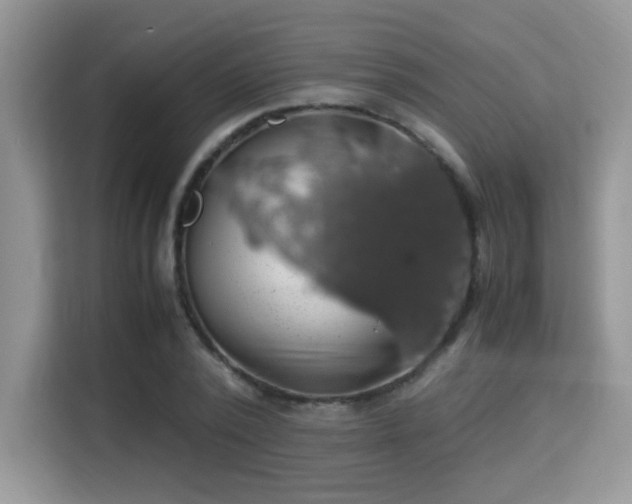 X0000115340784200911091304