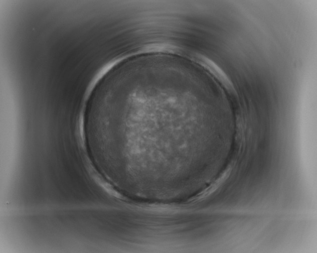 X0000115340788200911091304