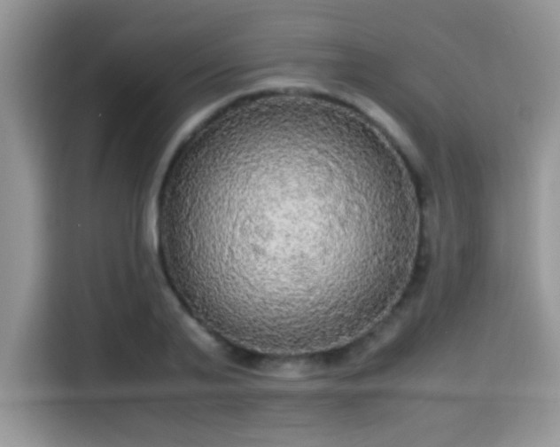 X0000115340791200911091304