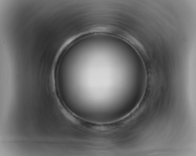 X0000115340792200911091304