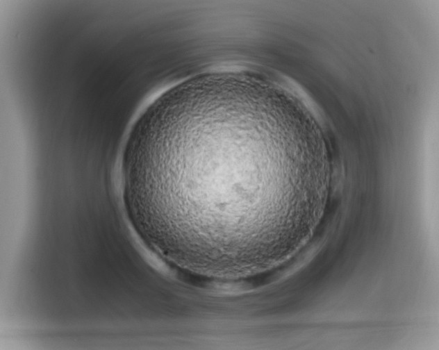 X0000115340795200911091304