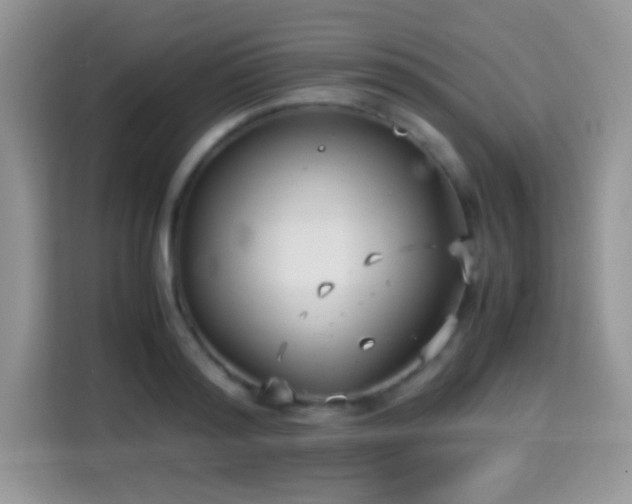 X0000115340796200911091304