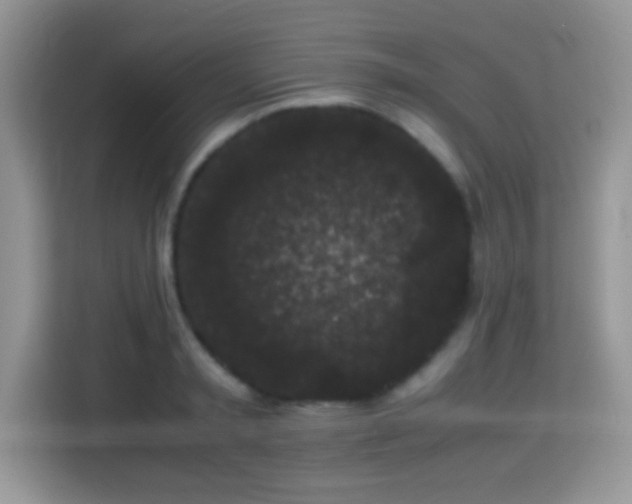 X0000115340797200911091304