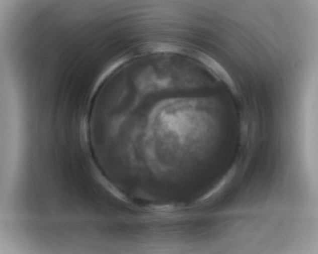 X0000115340798200911091304
