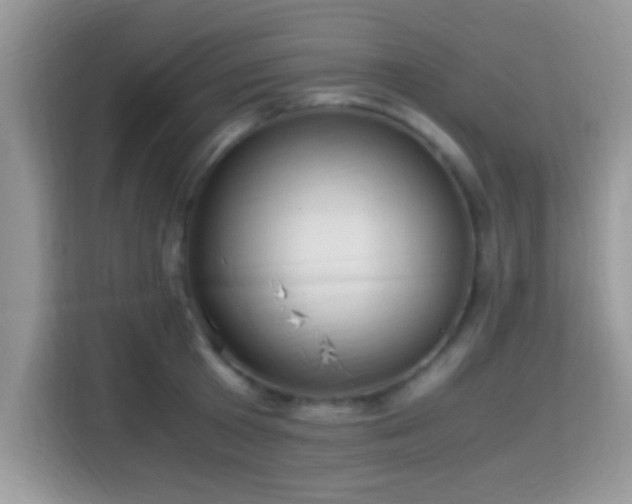 X0000115340801200911091304