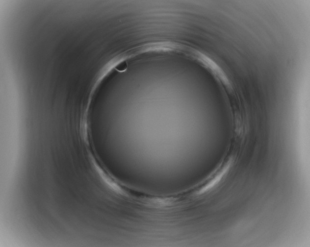 X0000115340802200911091304