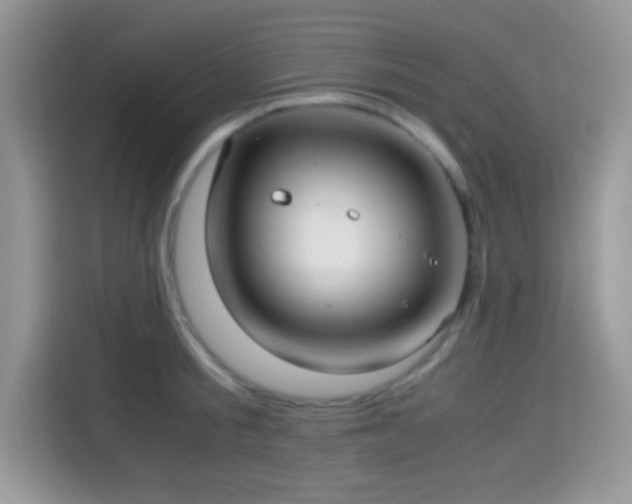 X0000115340805200911091304