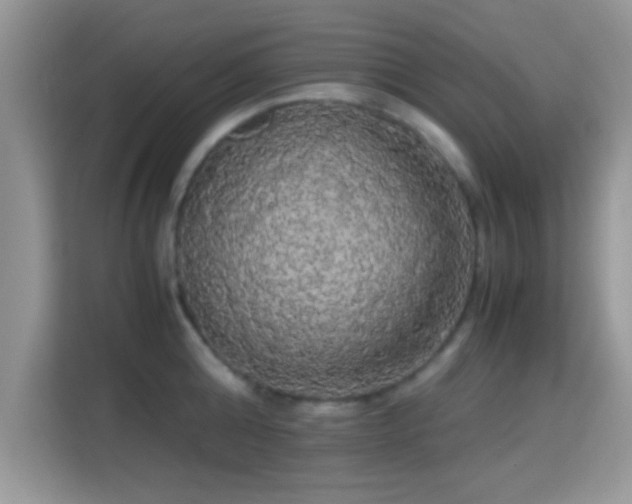X0000115340808200911091304
