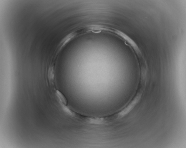 X0000115340809200911091304