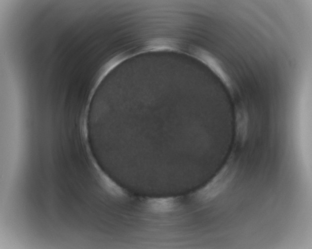 X0000115340810200911091304