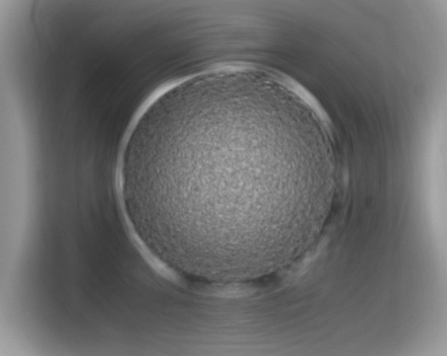 X0000115340811200911091304