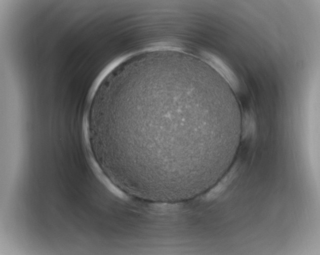 X0000115340812200911091304