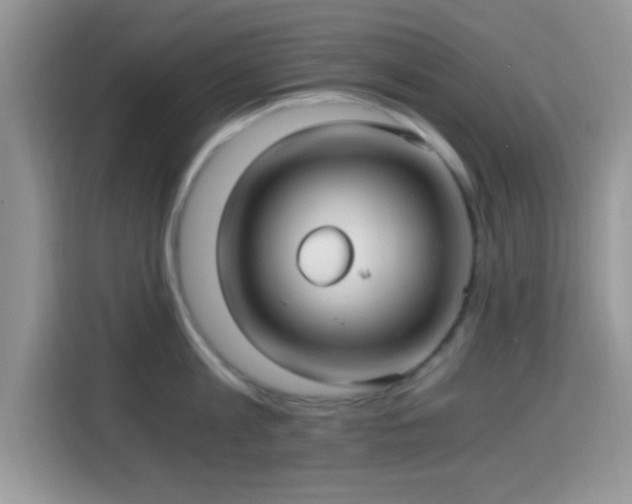 X0000115340813200911091304