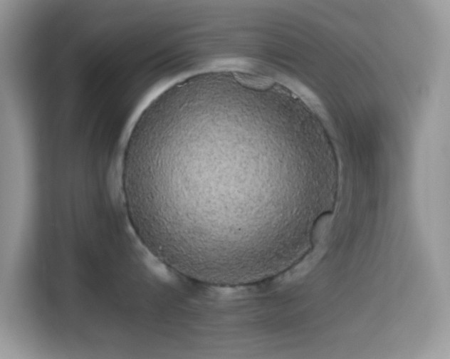 X0000115340816200911091304