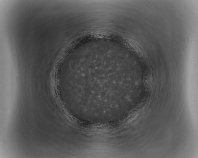 X0000115340817200911091303