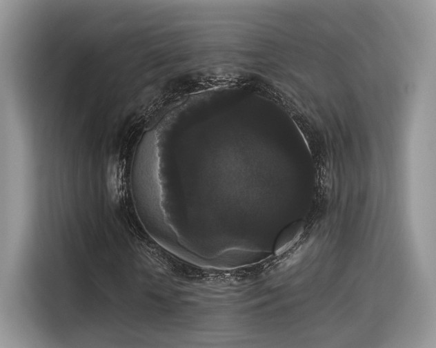 X0000115340818200911091303