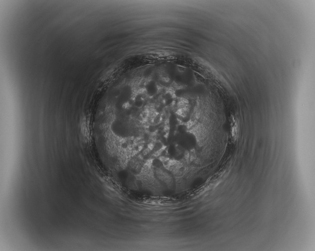X0000115340819200911091303