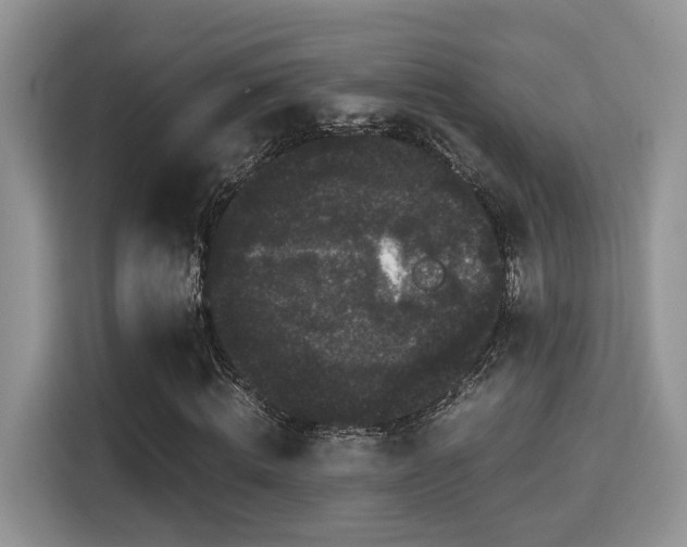 X0000115340820200911091303