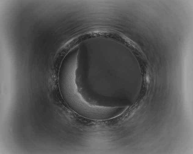 X0000115340822200911091303