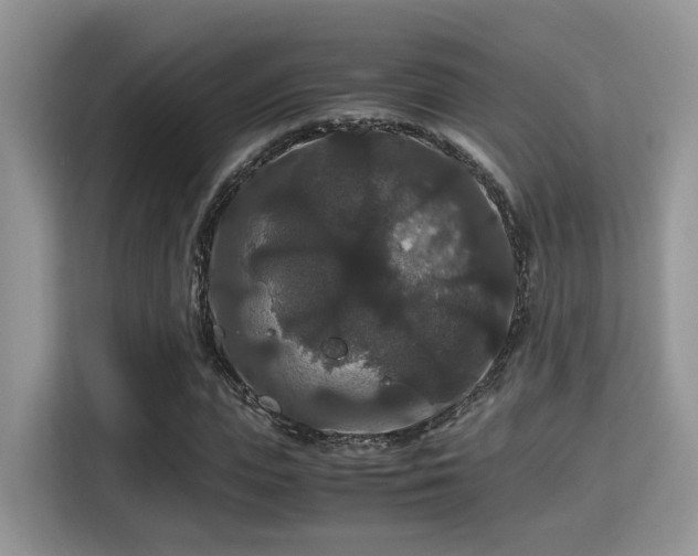 X0000115340823200911091303