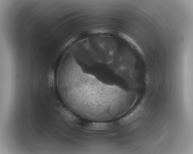X0000115340825200911091303