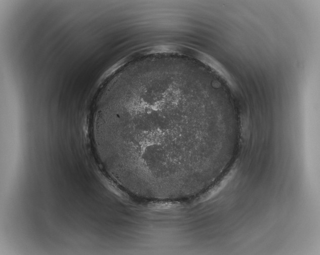 X0000115340826200911091303