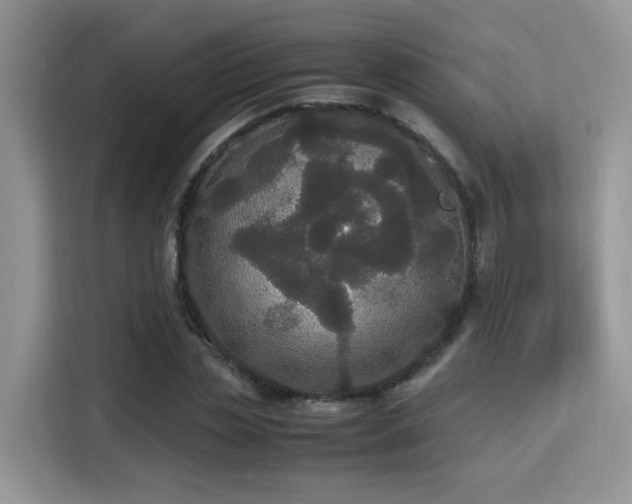 X0000115340829200911091303