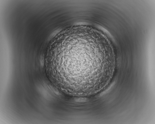 X0000115340833200911091303