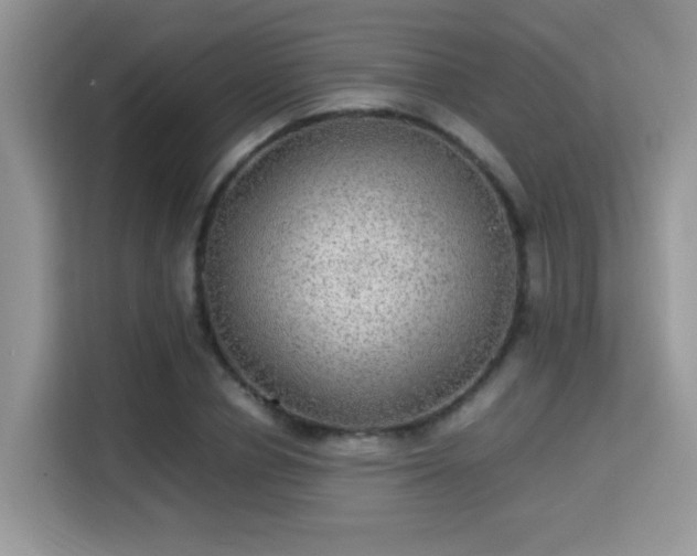 X0000115340834200911091303