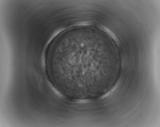 X0000115340835200911091303