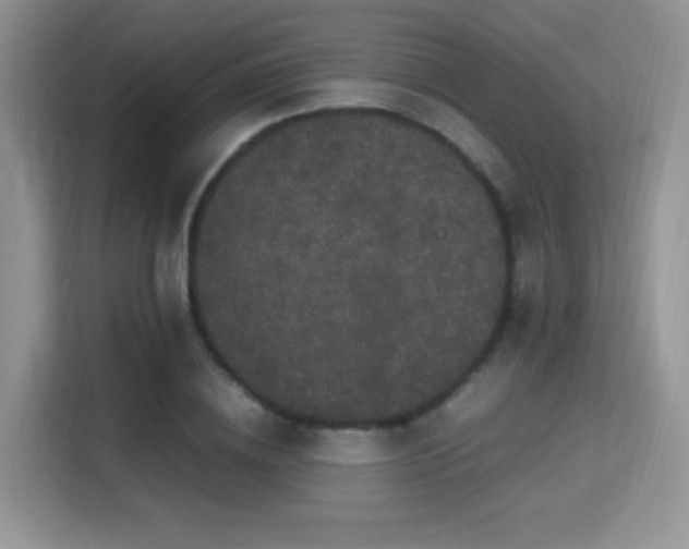 X0000115340836200911091303