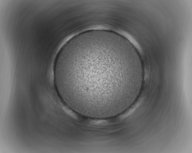 X0000115340837200911091303