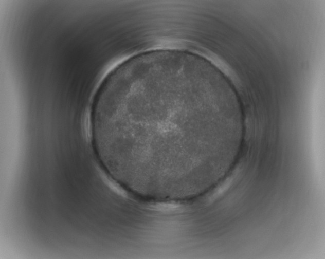 X0000115340838200911091303