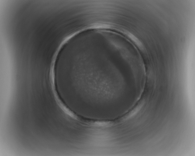 X0000115340840200911091303