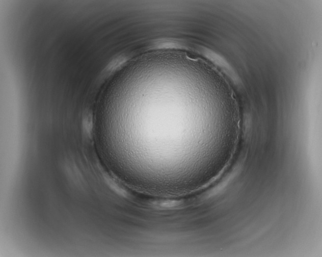 X0000115340841200911091303