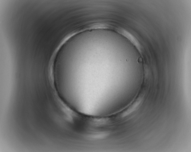 X0000115340843200911091303