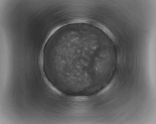 X0000115340844200911091303