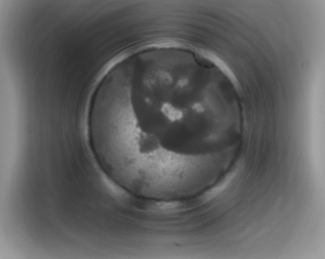 X0000115340845200911091303