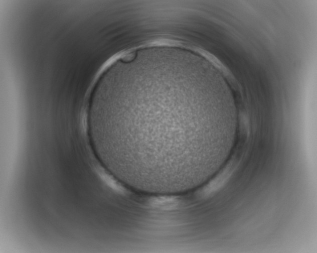 X0000115340846200911091303