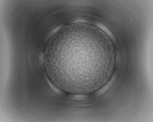 X0000115340849200911091303