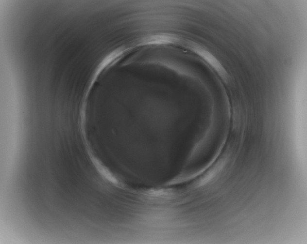 X0000115340850200911091303