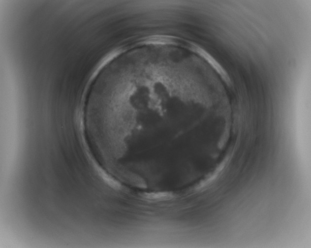 X0000115340853200911091304