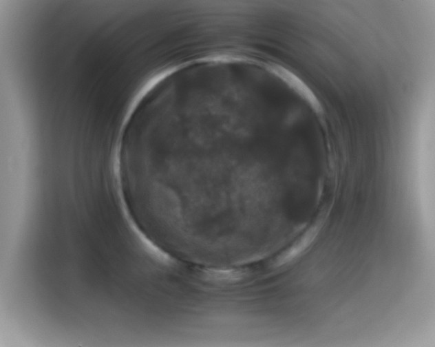 X0000115340855200911091304